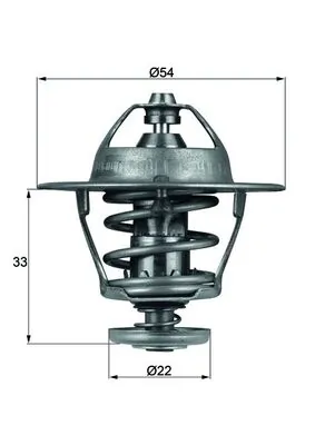 Termostat lichid racire