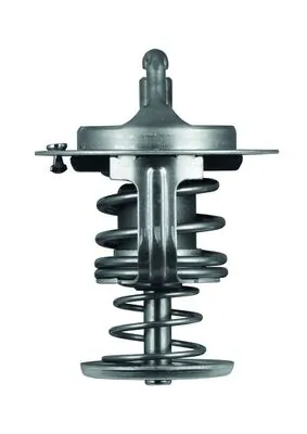 Termostat lichid racire