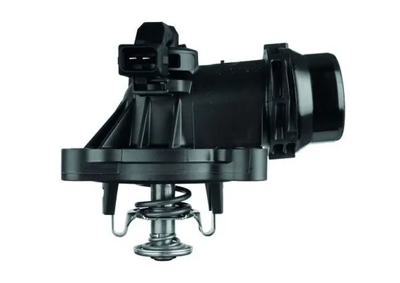 Termostat lichid racire