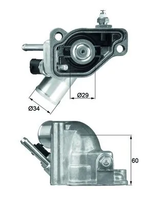 Termostat lichid racire