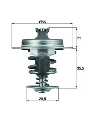 Termostat lichid racire