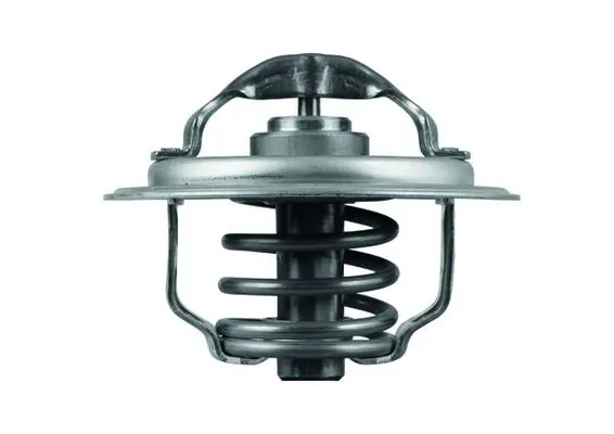 Termostat lichid racire
