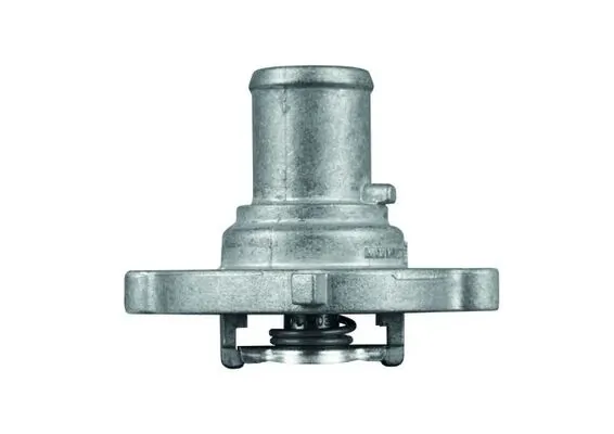 Termostat lichid racire