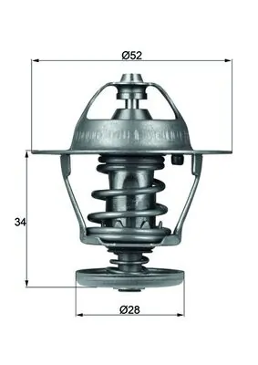 Termostat lichid racire