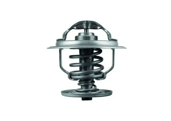 Termostat lichid racire