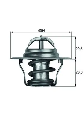 Termostat lichid racire
