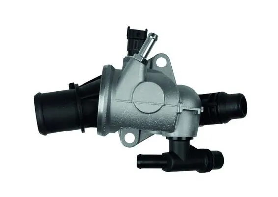 Termostat lichid racire