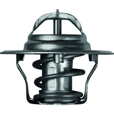Termostat lichid racire