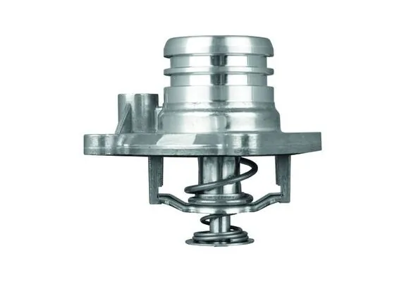Termostat lichid racire