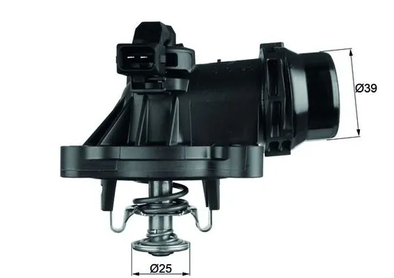 Termostat lichid racire