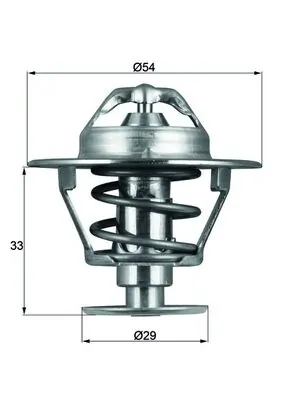 Termostat lichid racire