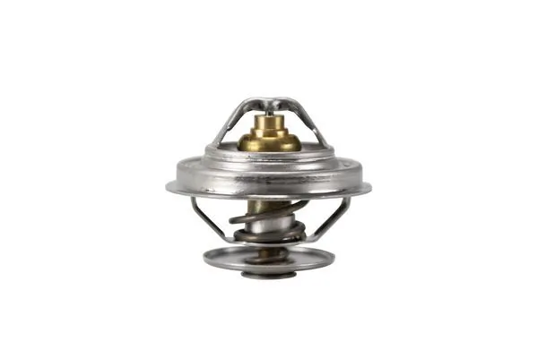 Termostat,lichid racire