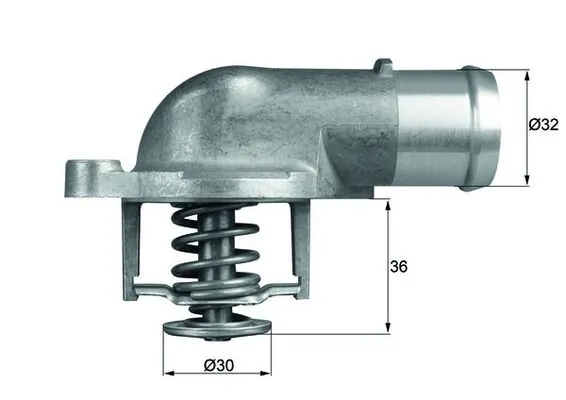 Termostat lichid racire