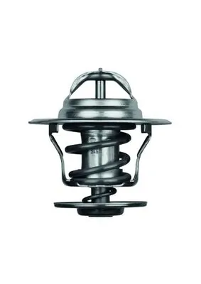 Termostat lichid racire
