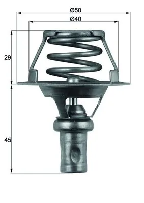 Termostat lichid racire