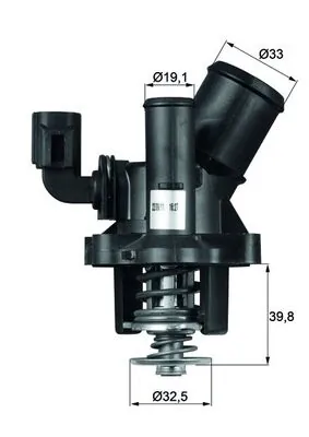 Termostat lichid racire