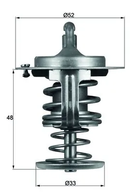 Termostat lichid racire