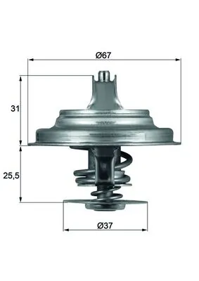 Termostat lichid racire