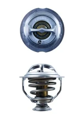 Termostat lichid racire