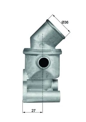 Termostat lichid racire