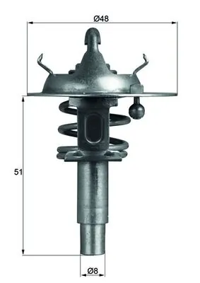 Termostat lichid racire