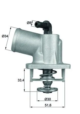 Termostat lichid racire