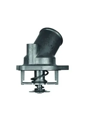 Termostat lichid racire