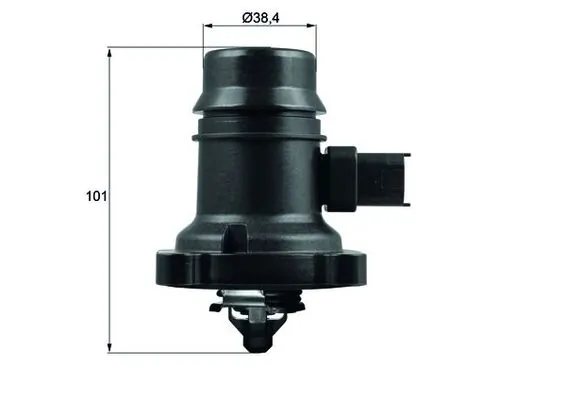 Termostat lichid racire