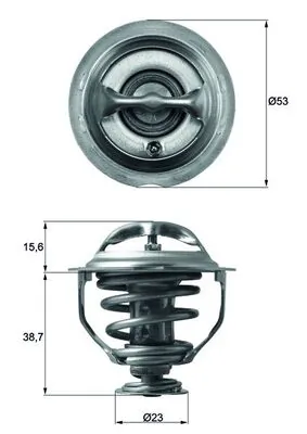 Termostat lichid racire
