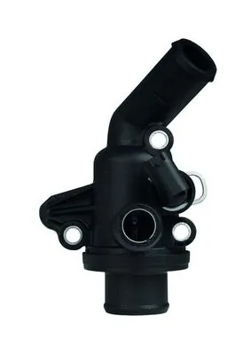 Termostat lichid racire