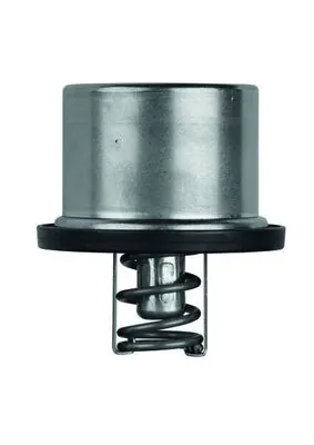 Termostat lichid racire