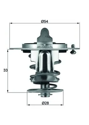 Termostat lichid racire