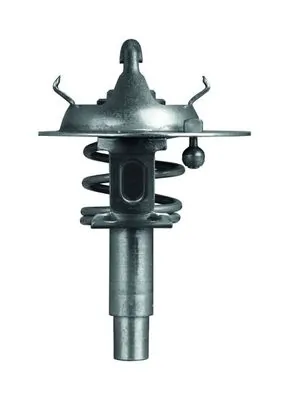Termostat lichid racire