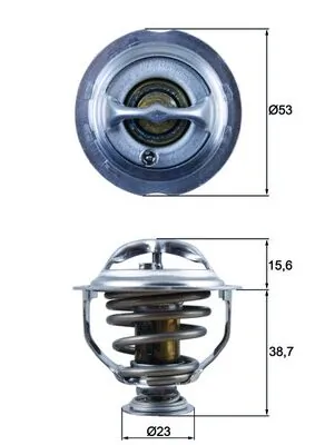 Termostat lichid racire