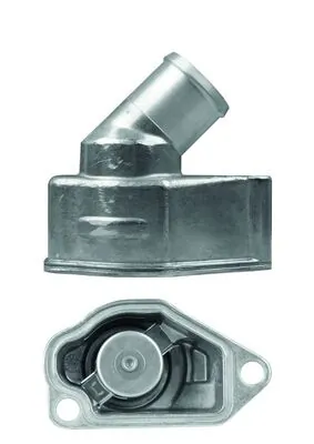 Termostat lichid racire