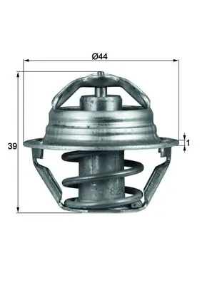 Termostat lichid racire