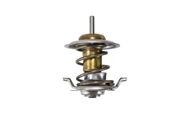 Termostat lichid racire