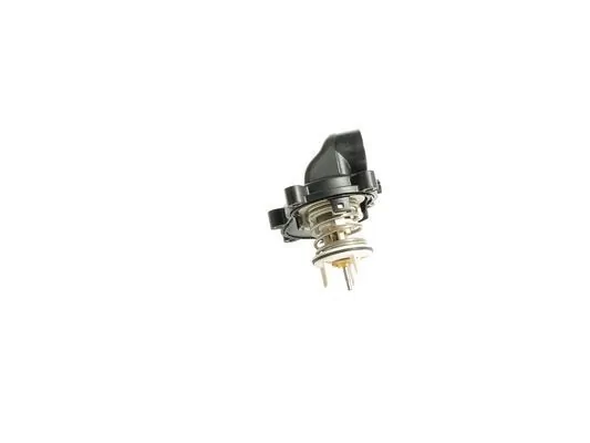 Termostat,lichid racire
