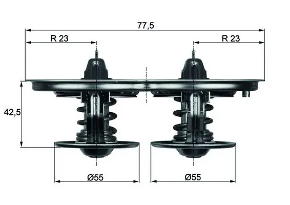 Termostat lichid racire
