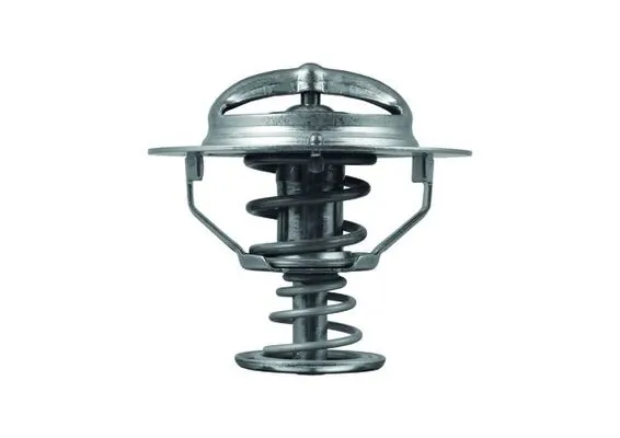 Termostat lichid racire