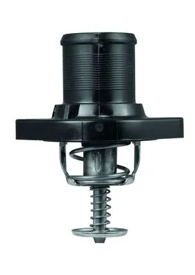 Termostat,lichid racire