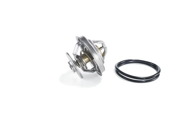 Termostat lichid racire