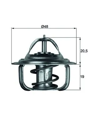 Termostat lichid racire