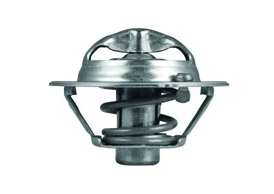 Termostat,lichid racire