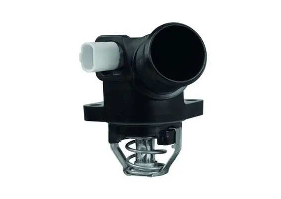 Termostat lichid racire