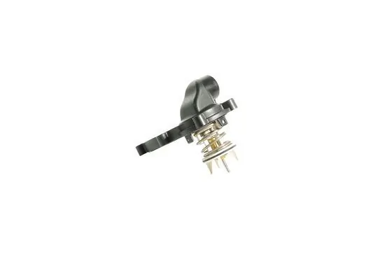 Termostat,lichid racire