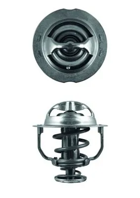 Termostat lichid racire