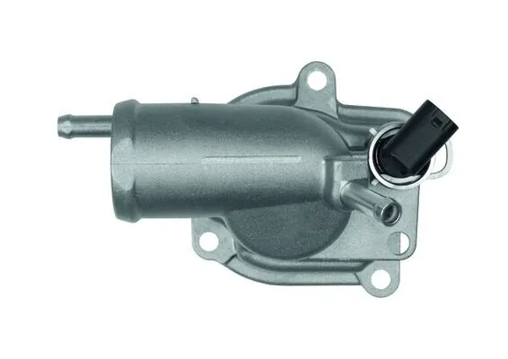Termostat,lichid racire