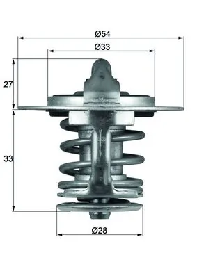Termostat lichid racire