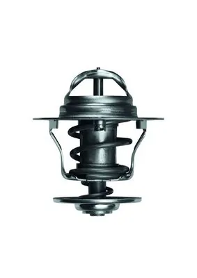 Termostat lichid racire
